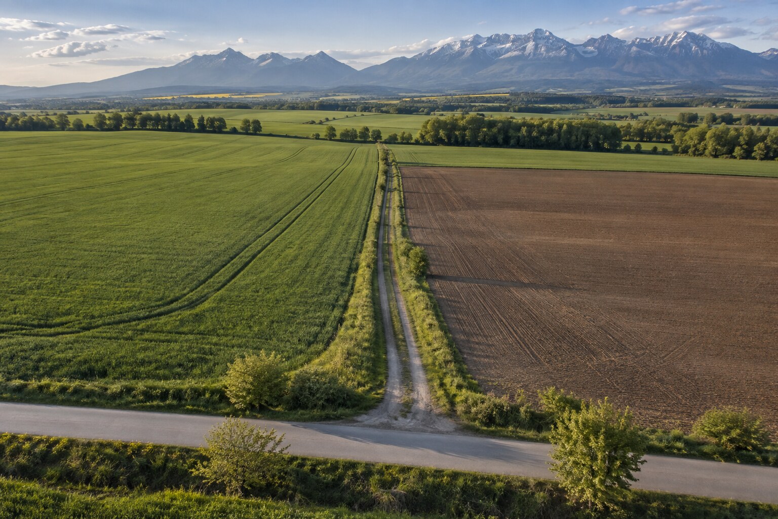 Poľná prístupová cesta spájajúca poľnohospodárske parcely s verejnou komunikáciou pod Tatrami